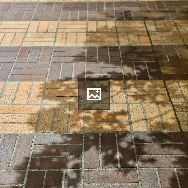 Tree Branch Shadows on Brick Pavement