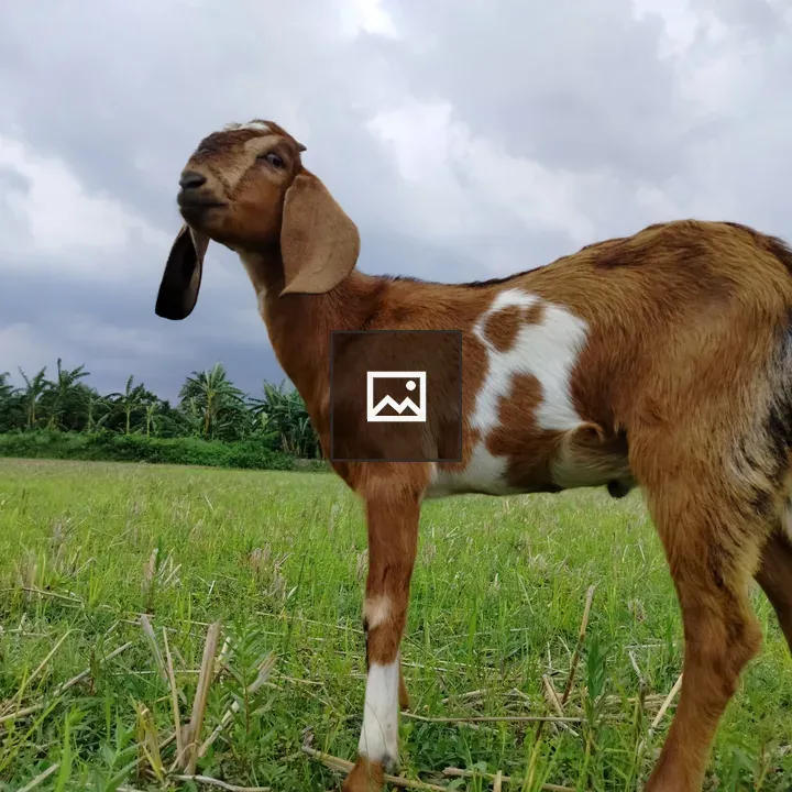 Ethereal Goat in Twilight Wonderland