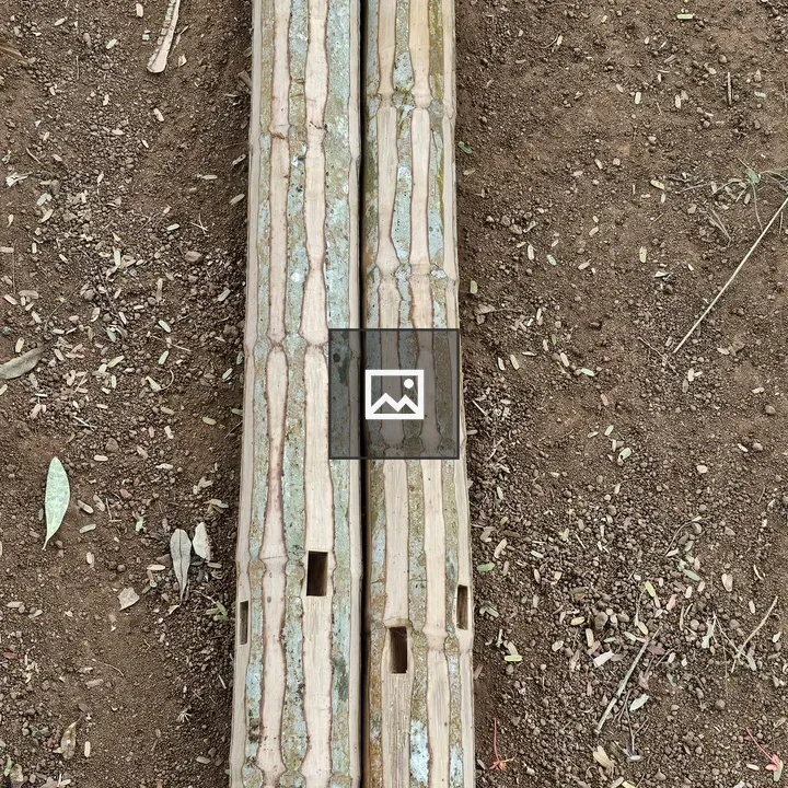 Areca Nut Trunk Sections