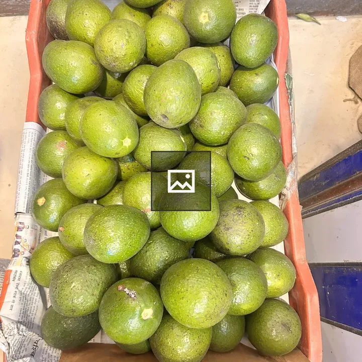 Avocados in Crate