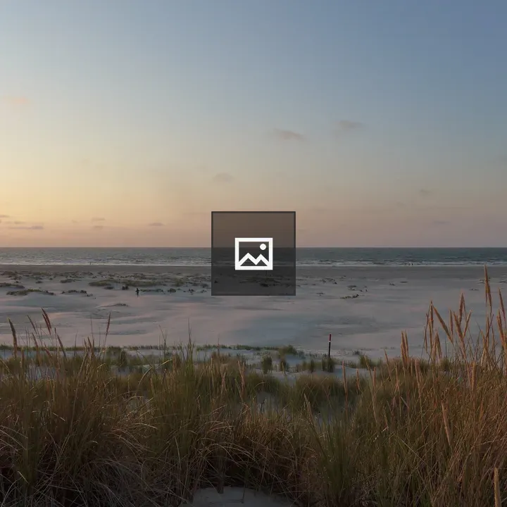 Dunes, Beach and Sea at Sunset