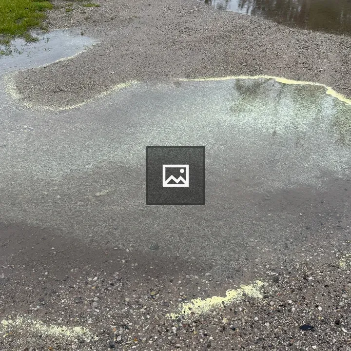 Michigan-shaped puddle