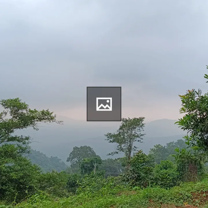 Grass, Trees, Hills and Sky