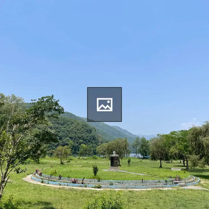 Serene park view with trees