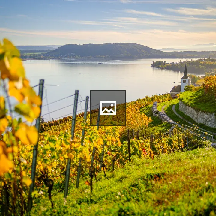 Sunset over vineyards and church by Lake Biel