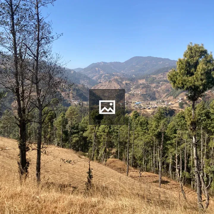 Landscape with hills and mountains