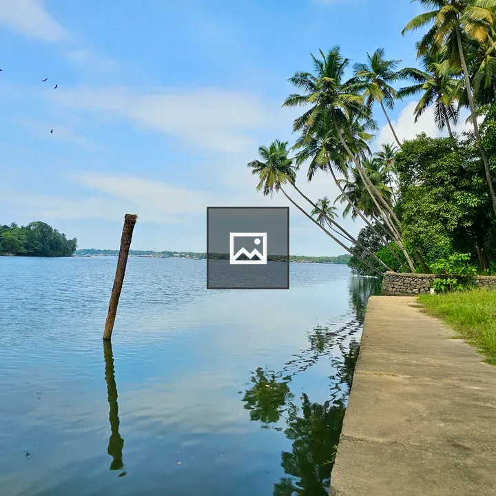 Calm water by a riverbank