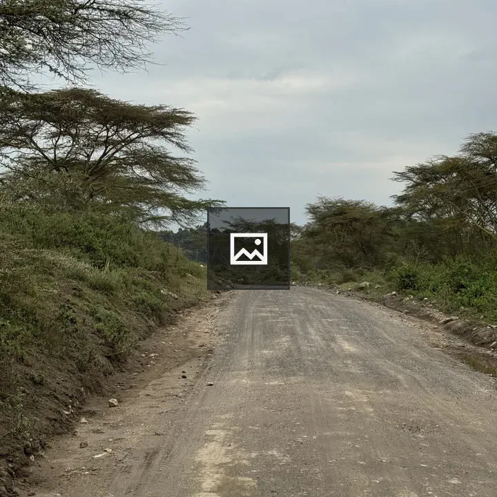 Unpaved Road through Green Vegetation