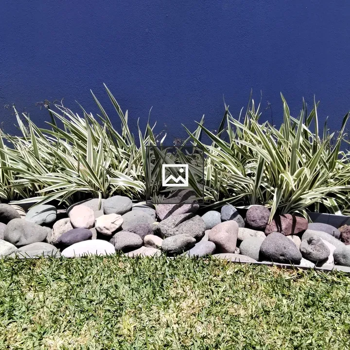 Stones and Green Plants Landscape