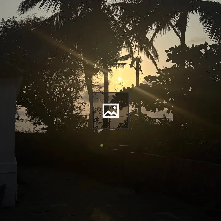Sunset with Silhouetted Palms