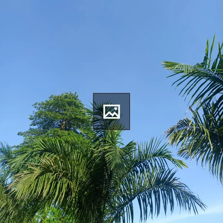 Clear blue sky with palm trees