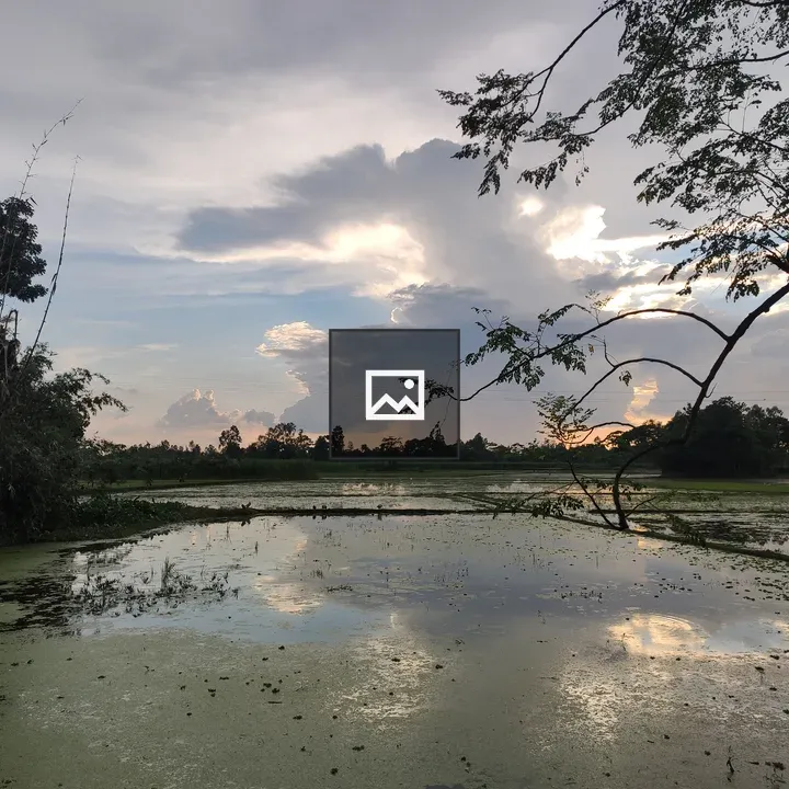 Tree Over the Water at Dusk