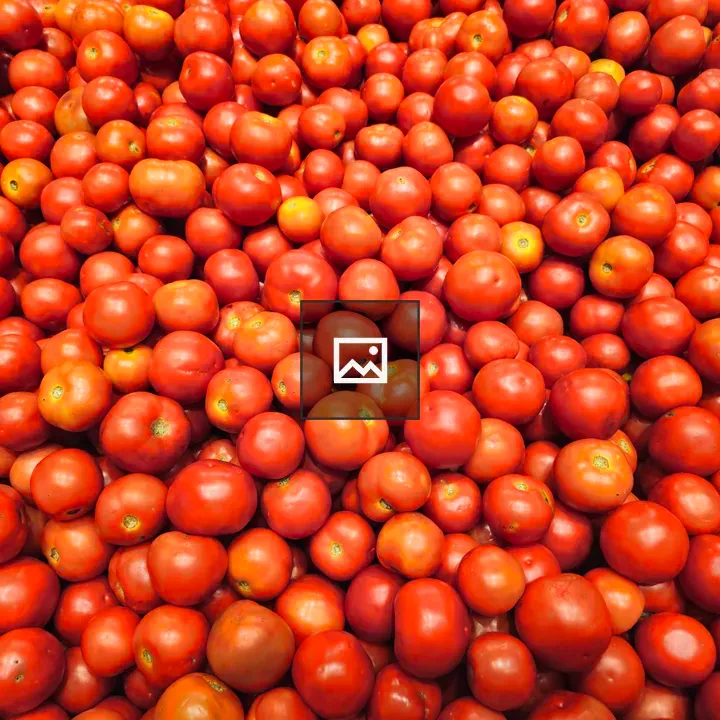 Red Tomatoes in Pile