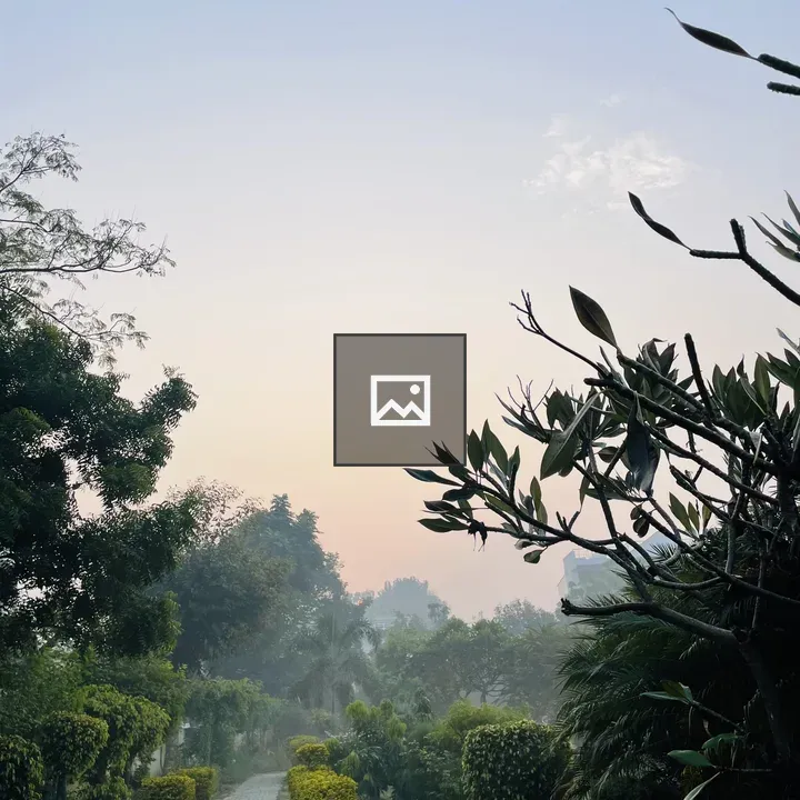Serene Pathway with Shrubs