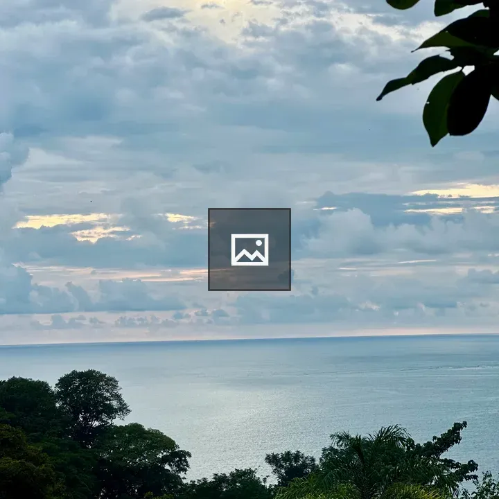 Ocean and sky with forest foreground