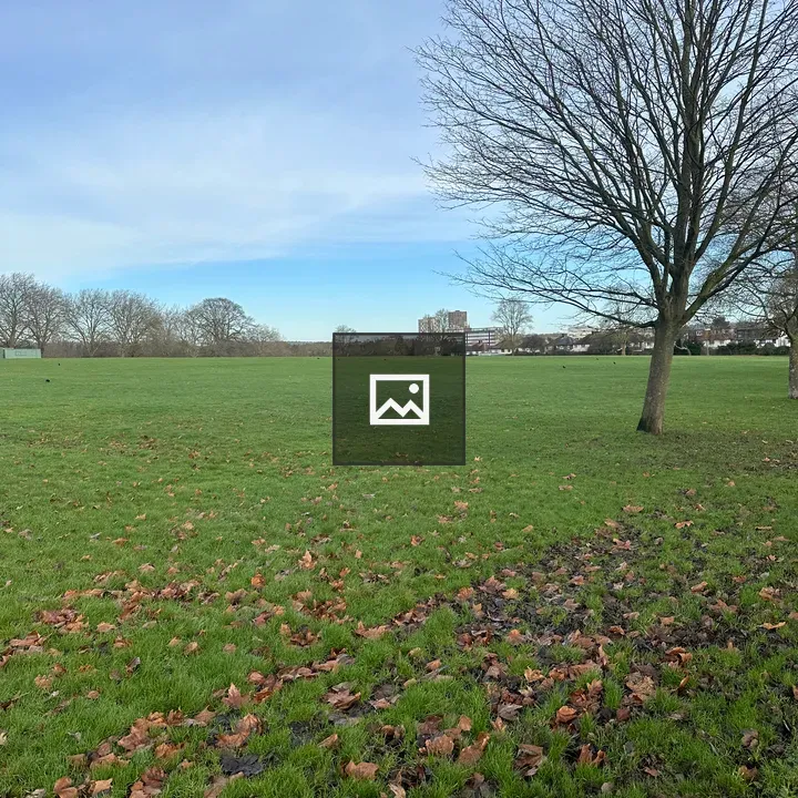 Beautiful morning in the park