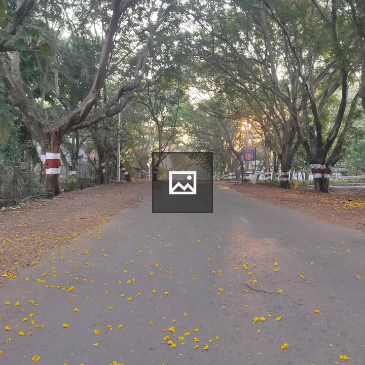 Morning Road at Shivaji University