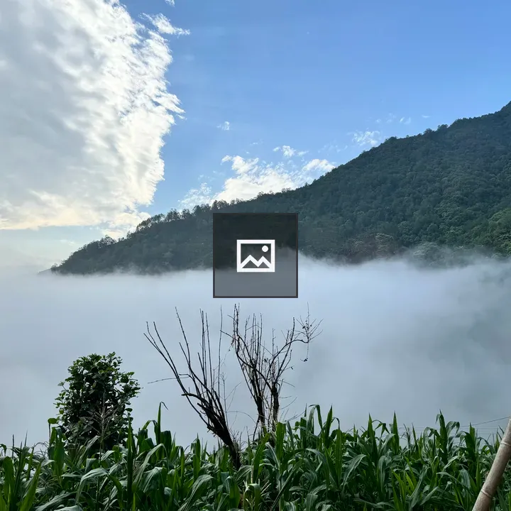 Mountainside with Mist and Plants