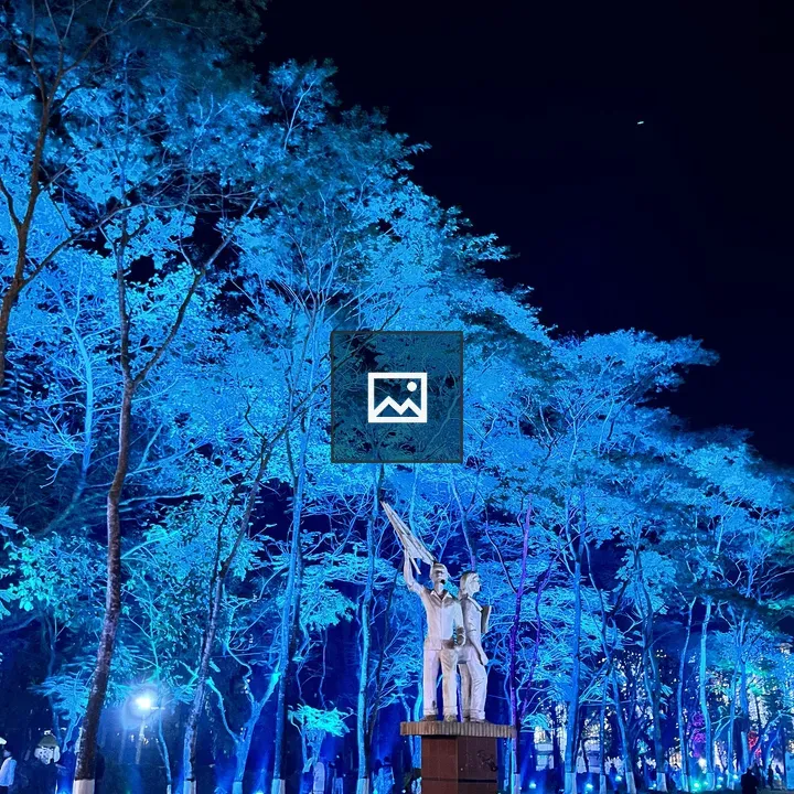 Statue with Flag at Night