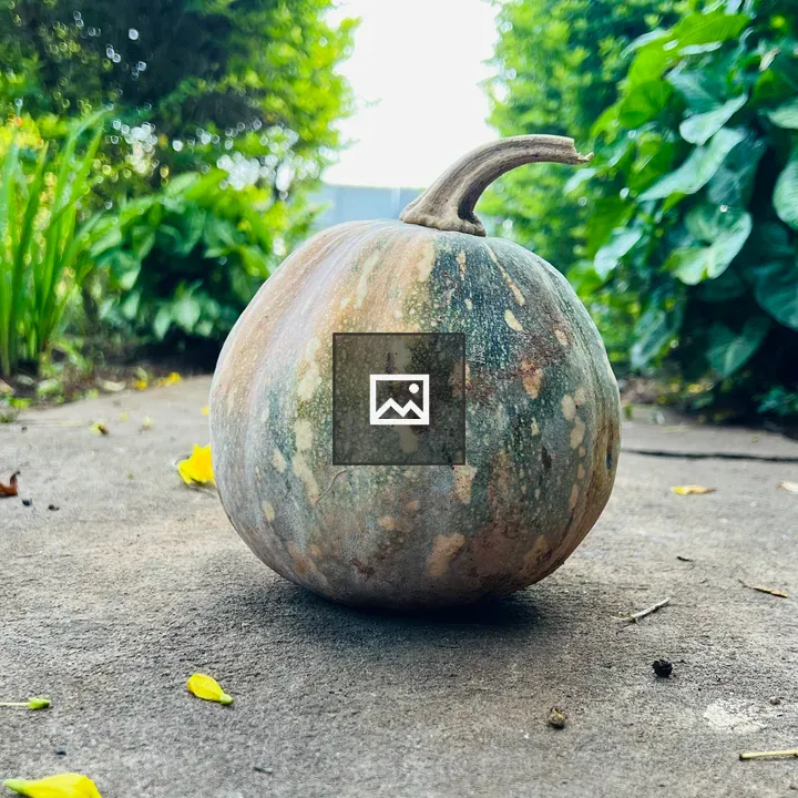 Pumpkin on Concrete Surface