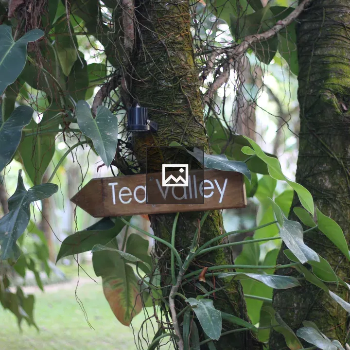 Tea Valley Wooden Sign
