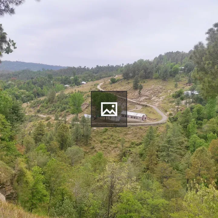 Winding Road in Green Hills