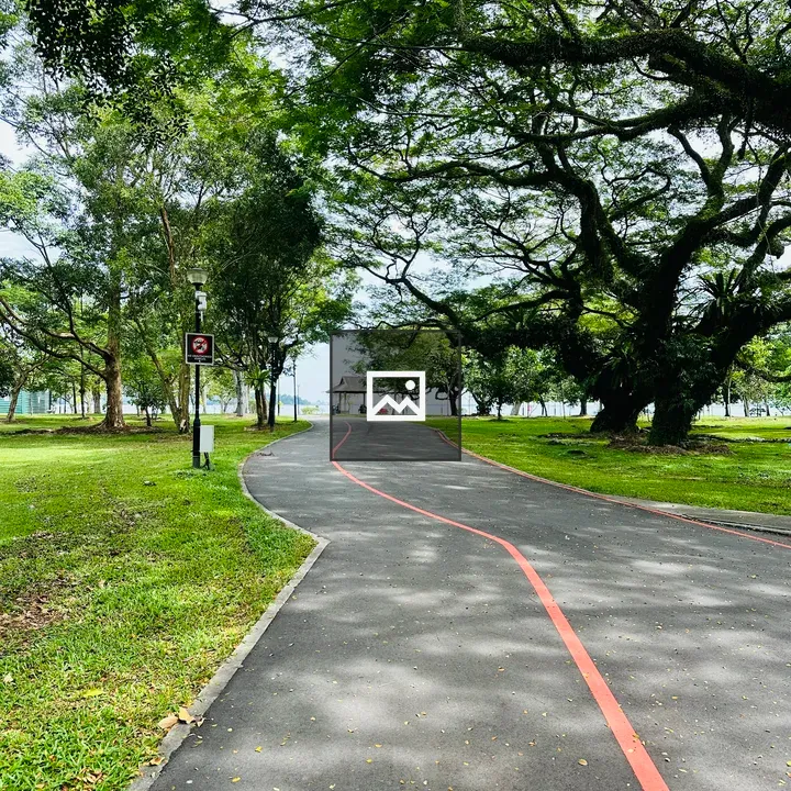 A Clean Road and Park