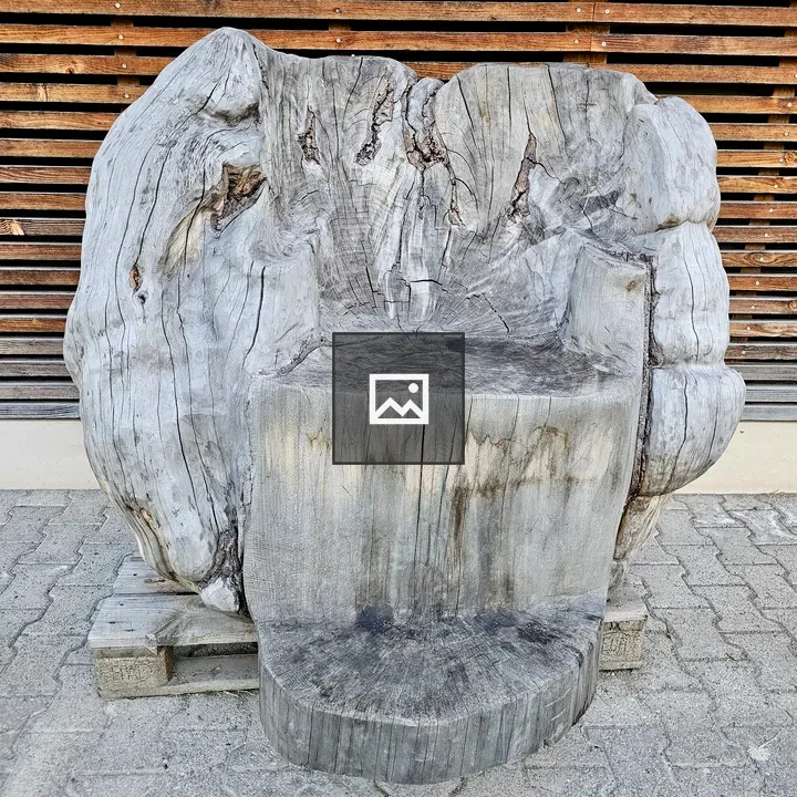 Chair carved from tree trunk
