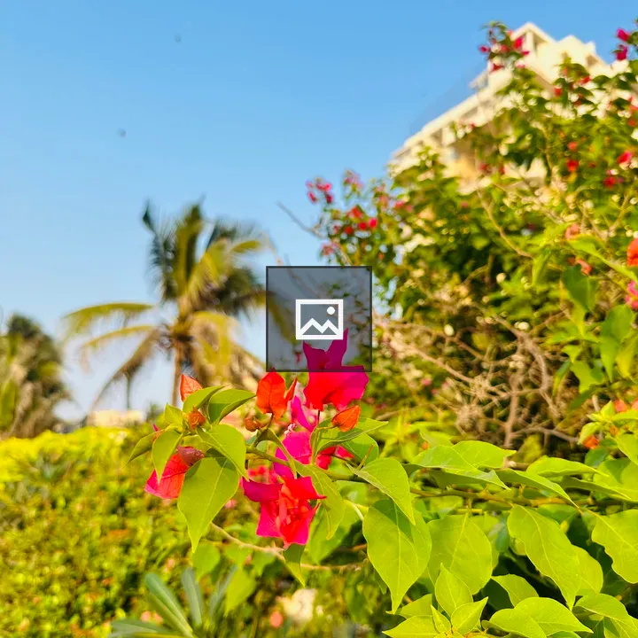 Red Flower in Garden