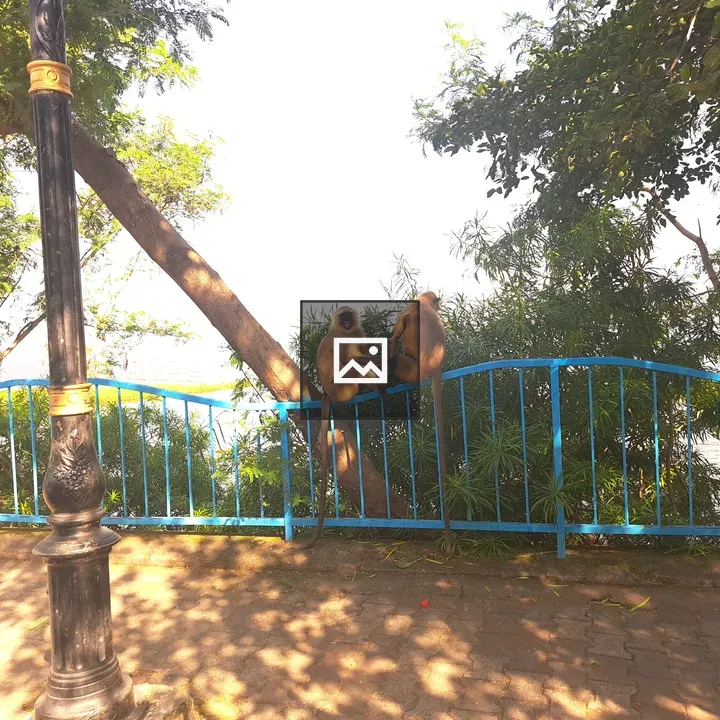 Monkeys in OpenVerse Walk