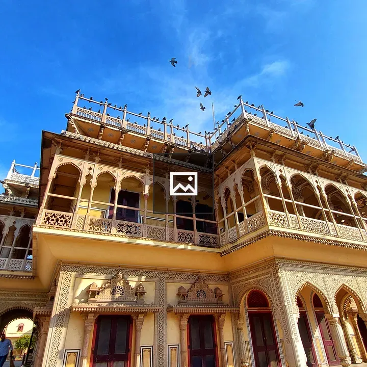 City Palace with columbidae birds