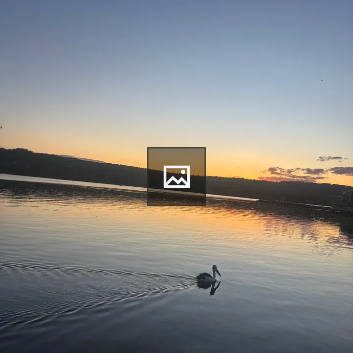 Pelican over sunset lake