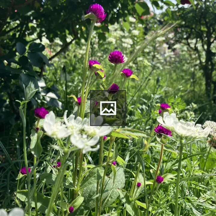 Flowers with Green Grasses