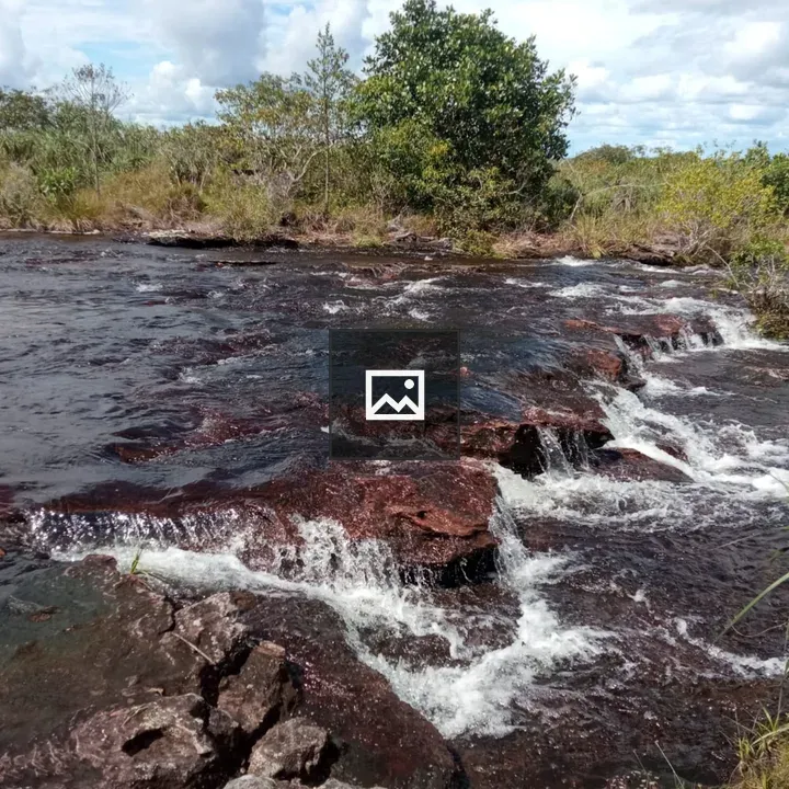 Caño Cristales River Scene