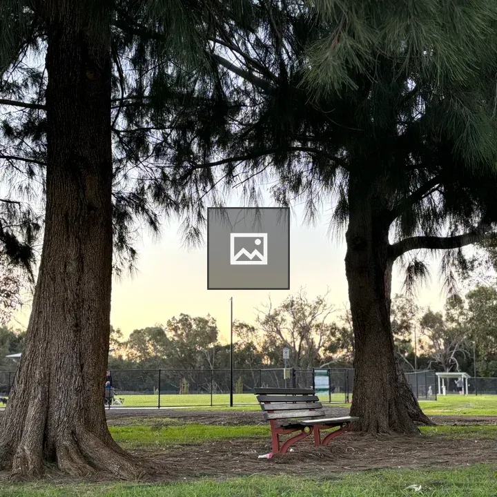 Park bench between trees