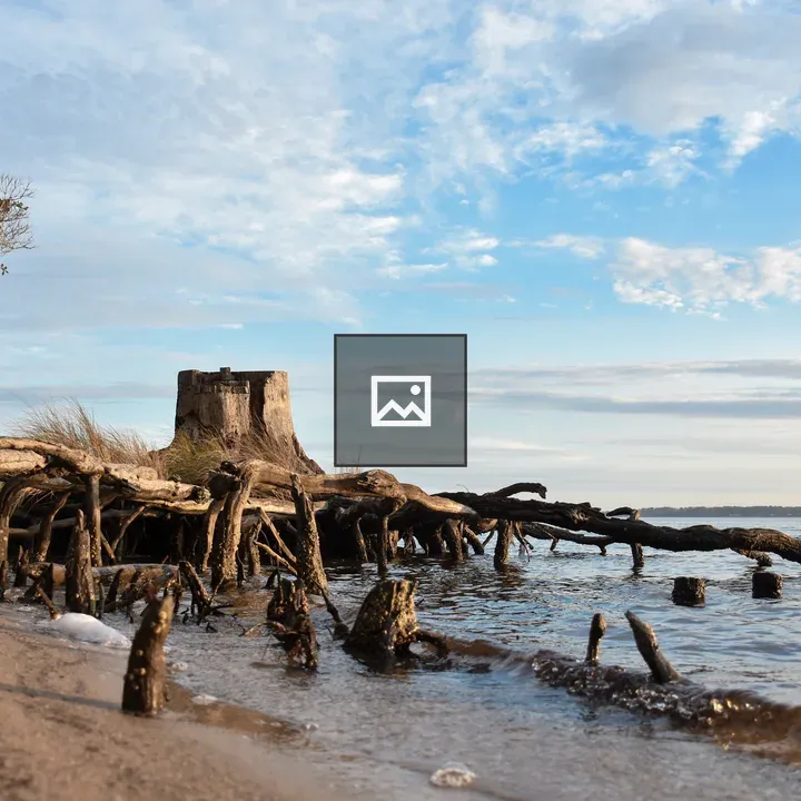 Trunk and roots on eroded river bank