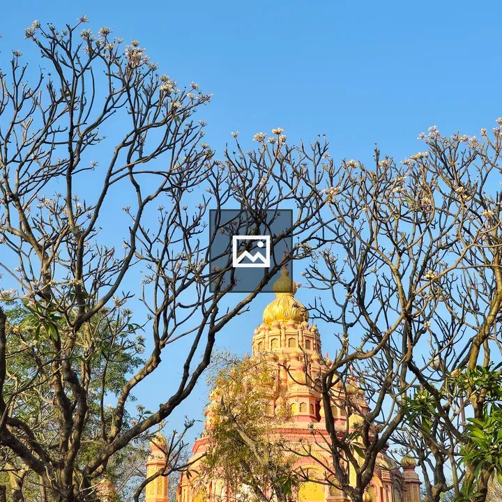 Golden temple dome with Plumeria