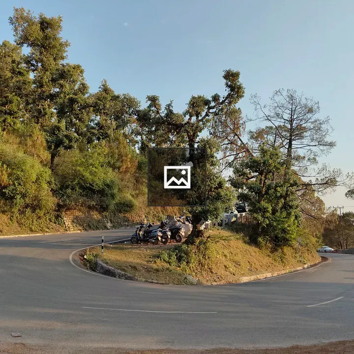 Winding road through green hills