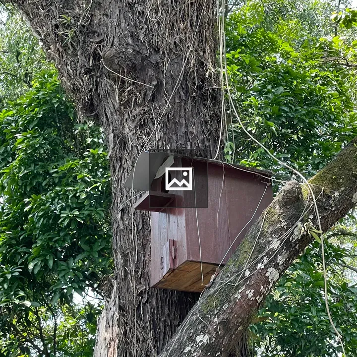 Birdhouse on Tree Branch