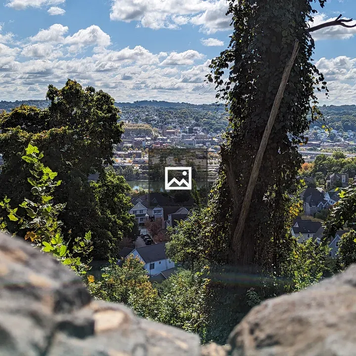 Monongahela River View from Stone Wall