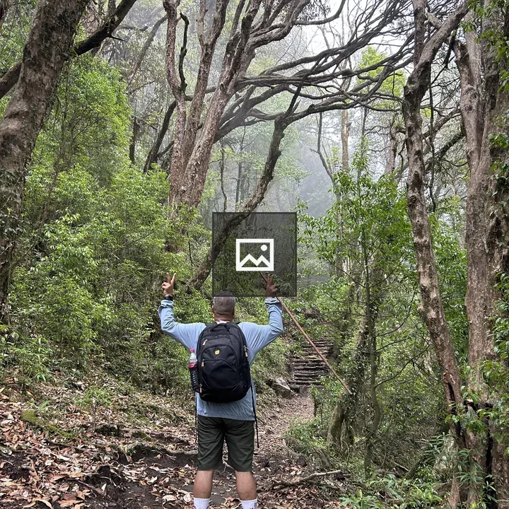 Person on Forest Trail with Backpack