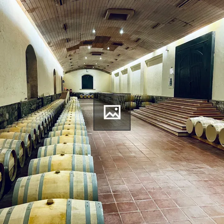 Dimly Lit Wine Cellar