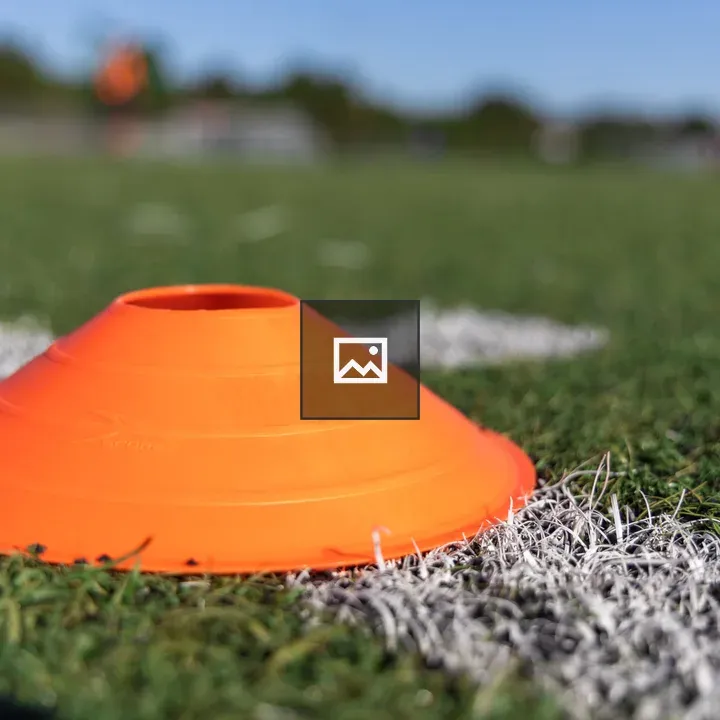 Close-up Green and Orange Cone