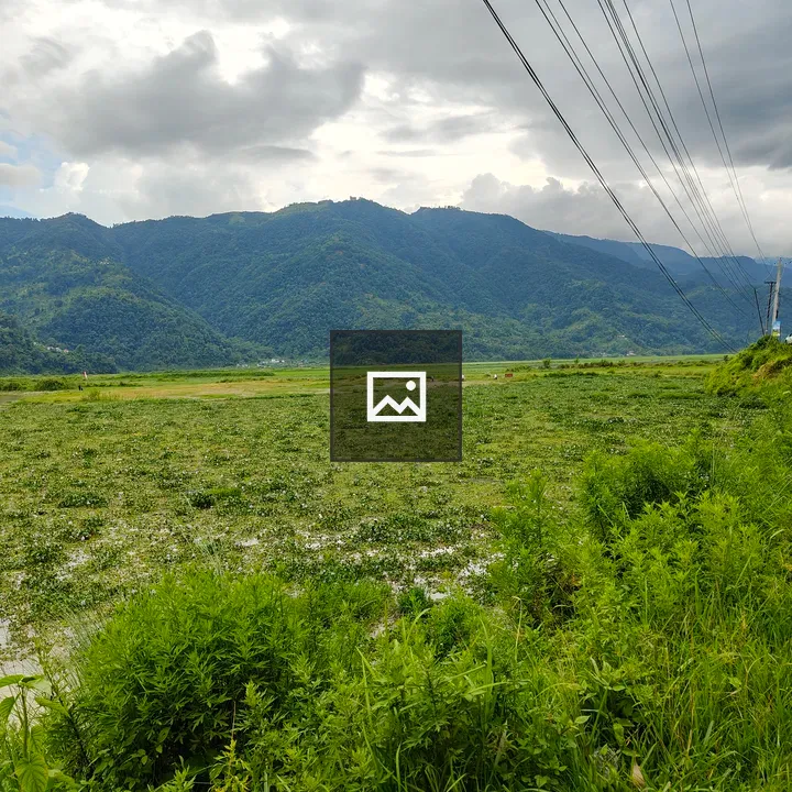Scenic green mountains landscape