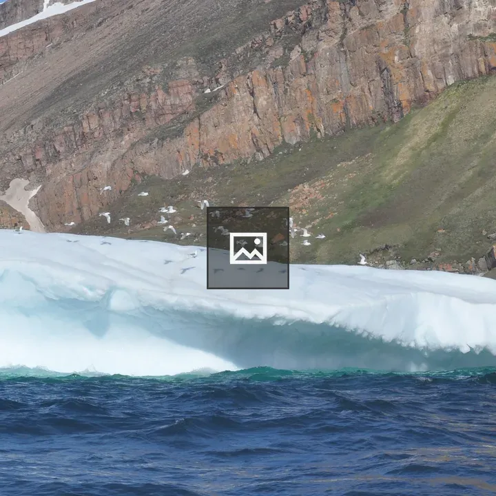 Birds Taking Off in Greenland
