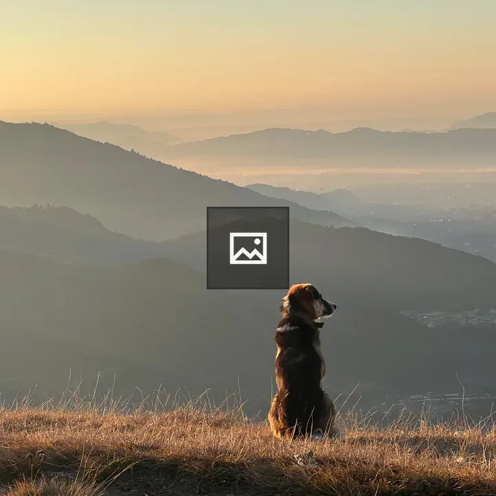 Dog on hilltop overlooking mountains