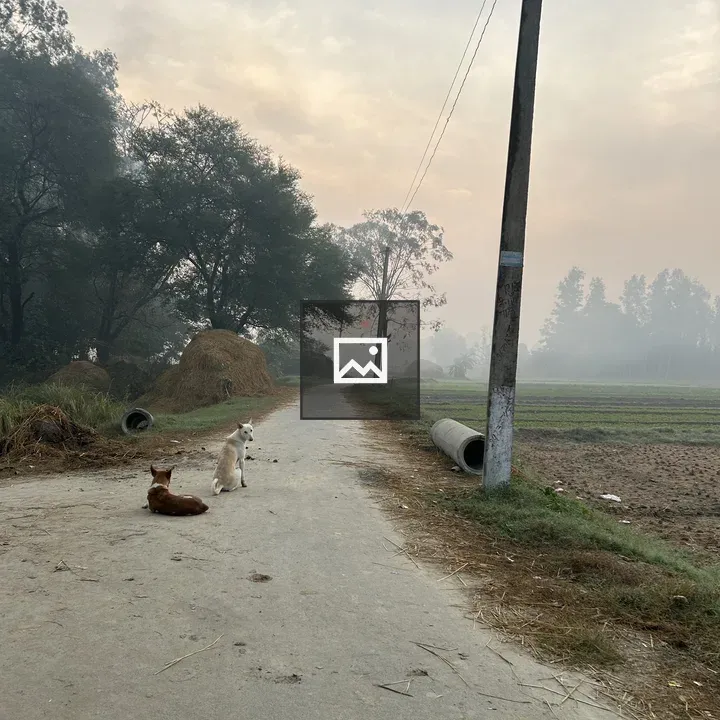 Sunrise in village morning