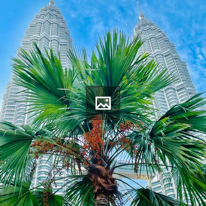 Palm tree with Petronas Towers