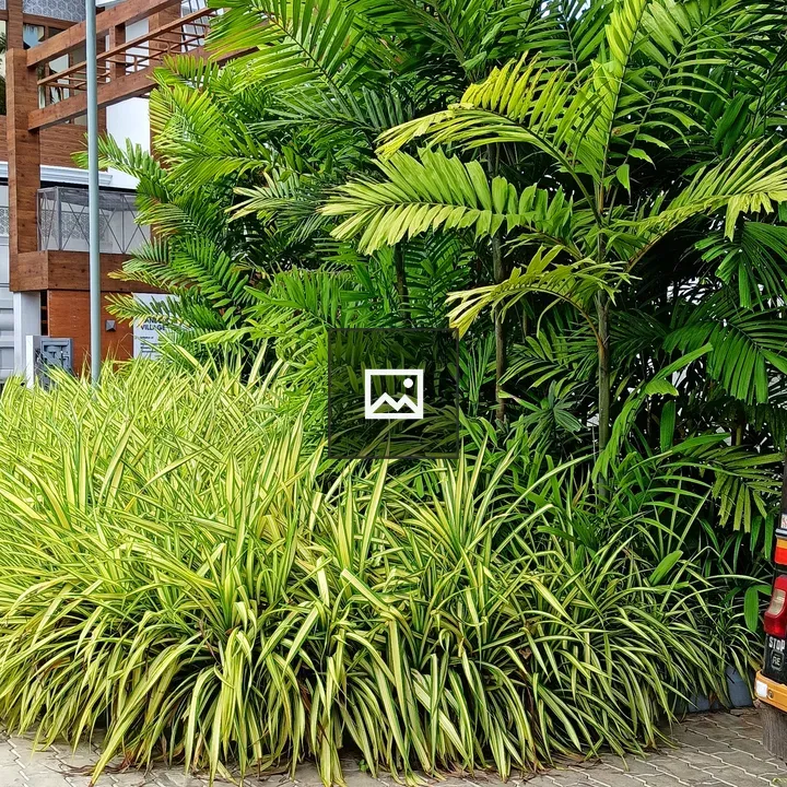Lush Landscaping in Front of Building