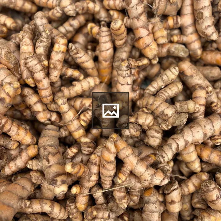 Turmeric Roots Close-Up